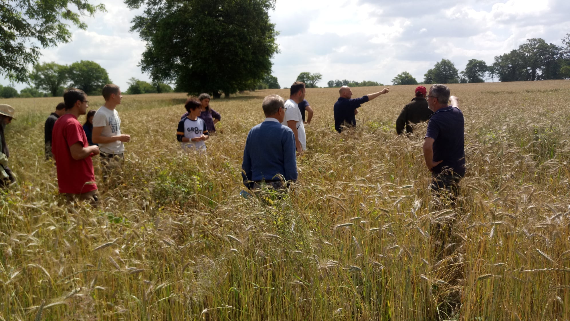 agriculteurs dans le champs Cuma