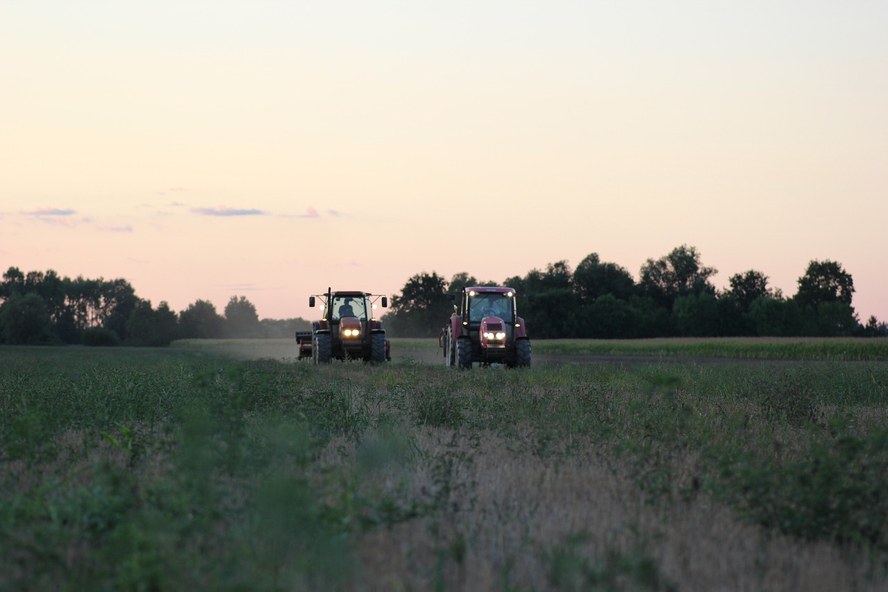 tracteur en Cuma